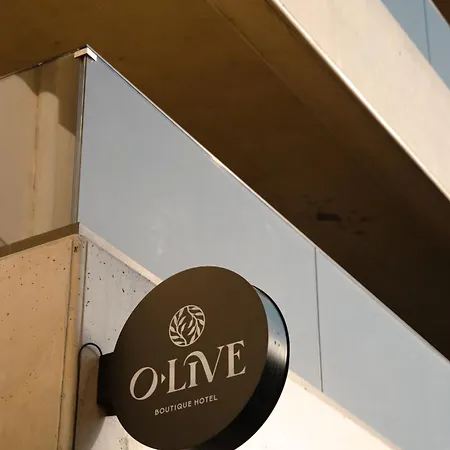 Olive 103